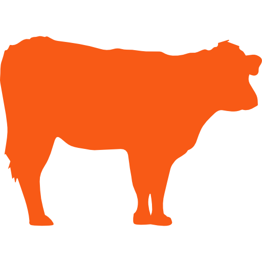 Marcadores Genéticos